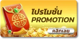 โปรโมชั่น matinvip